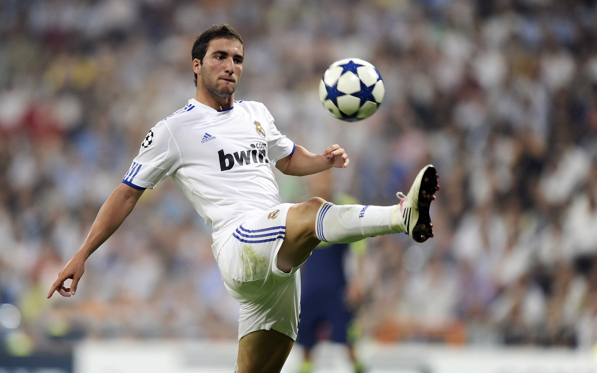 电竞赛场焦点！荷兰队对阵克罗地亚队，球星闪耀，全场焦点无人能挡